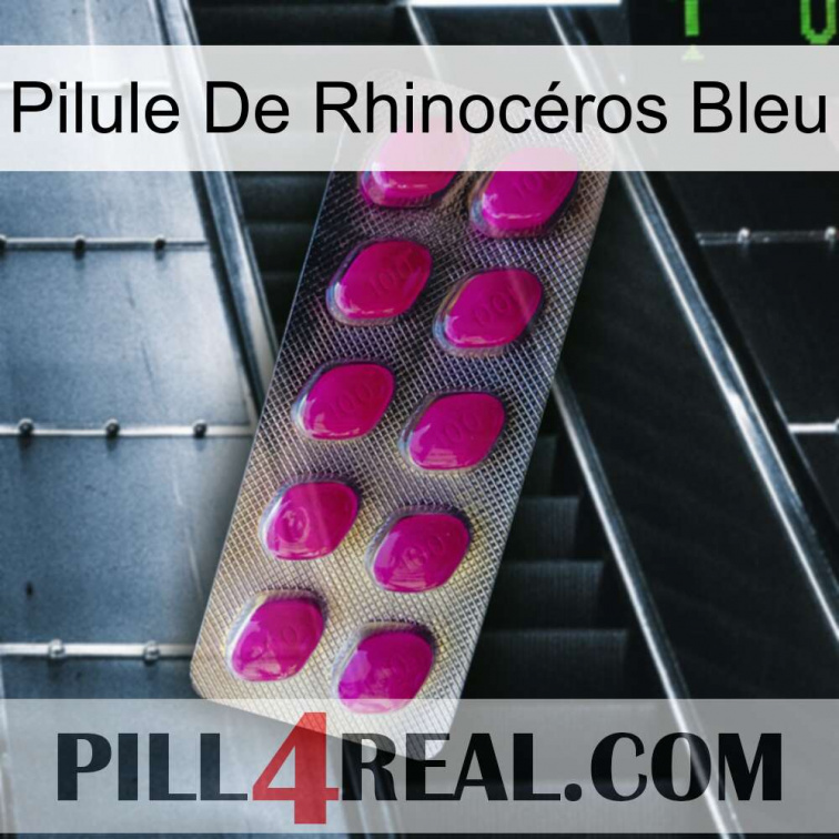 Pilule De Rhinocéros Bleu 09